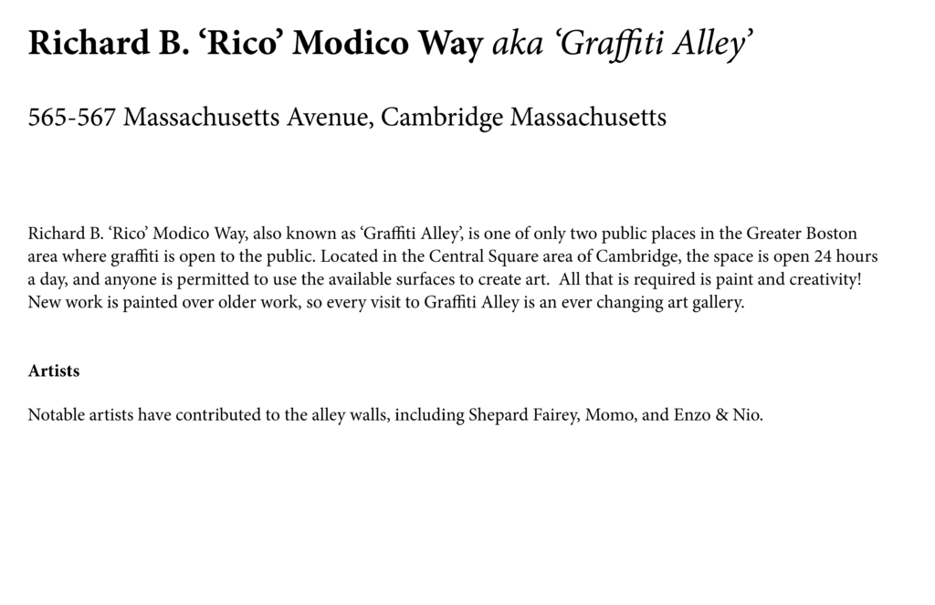 OLaughlin Final Portfolio14