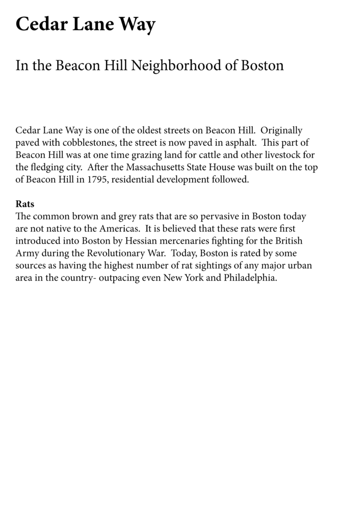 OLaughlin Final Portfolio6