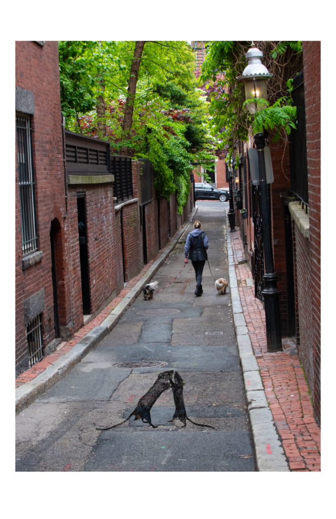 OLaughlin Final Portfolio7