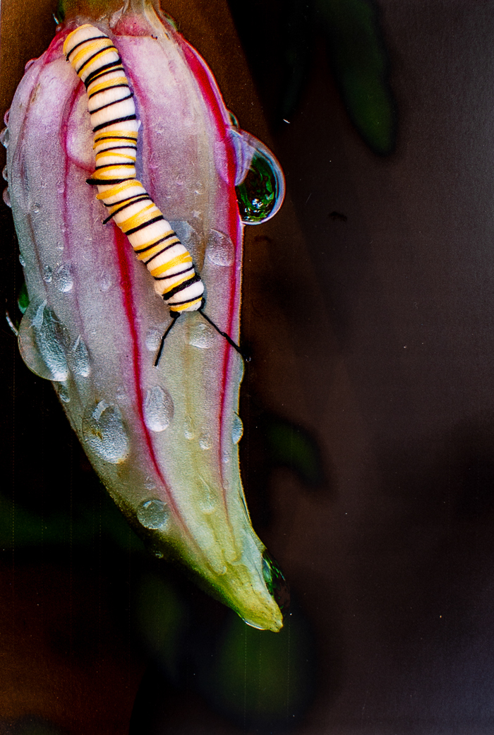 Reality and Illusion